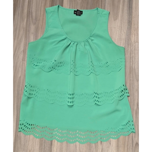Lane Bryant Green Eyelet Tiered Tunic Top - Size 14 - Stylish & Versatile! - Picture 1 of 8